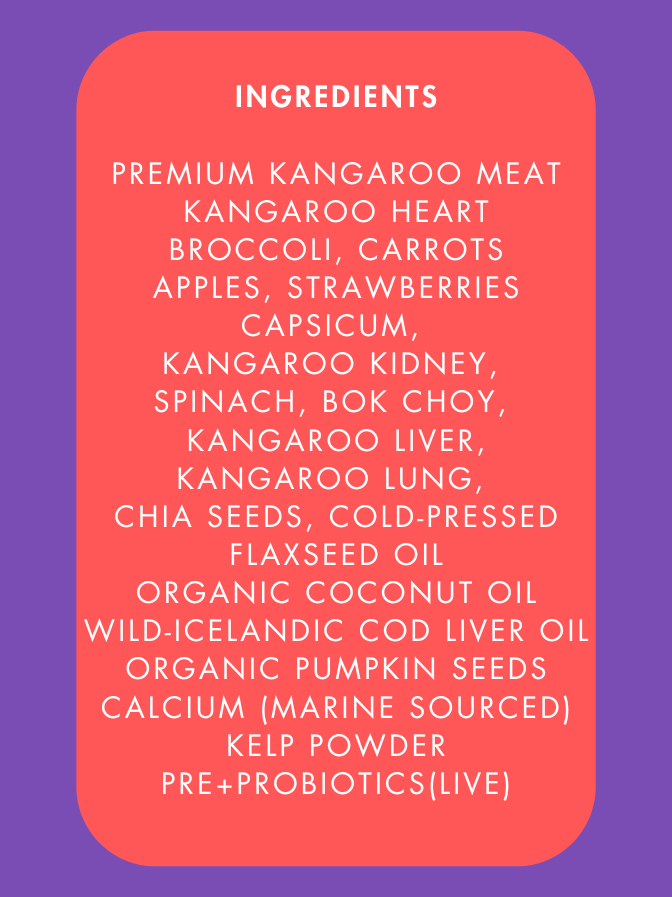 Wild Kangaroo 🦘