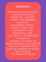 Wild Kangaroo 🦘