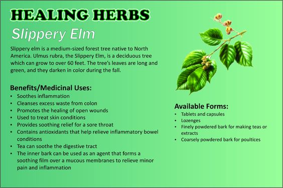 Organic Slippery Elm