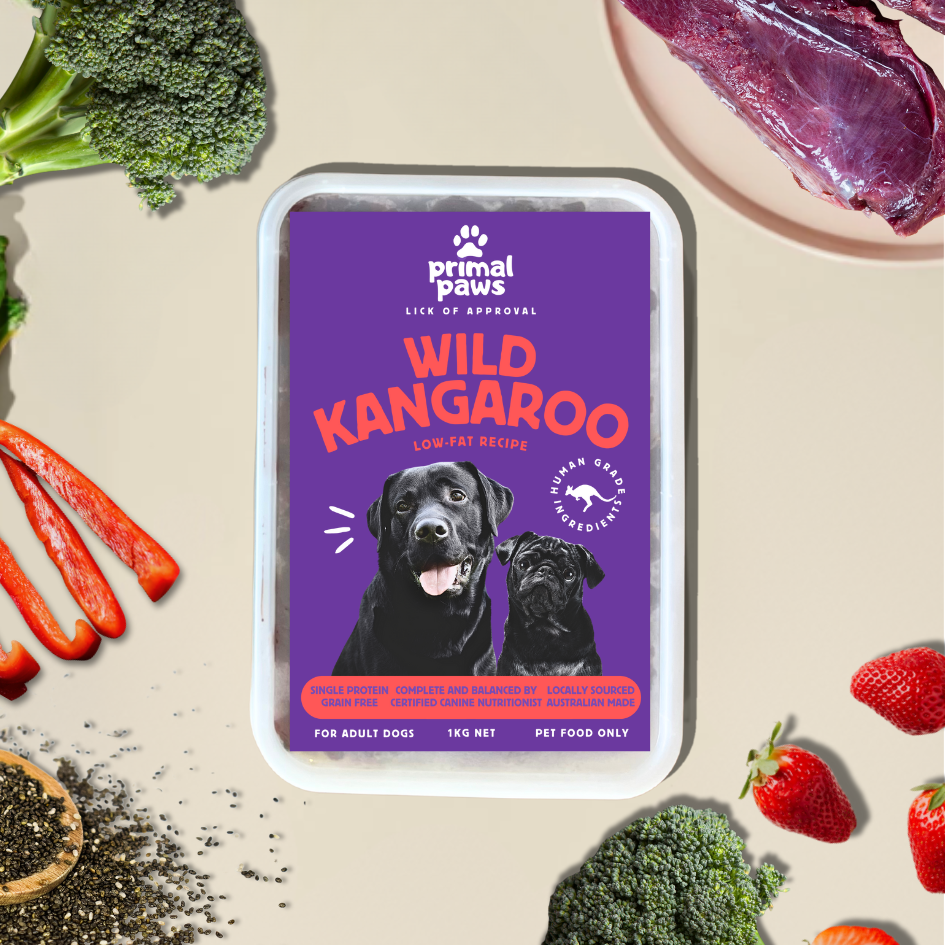 Wild Kangaroo 🦘